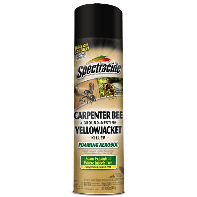 Carpenter bee sale repellent